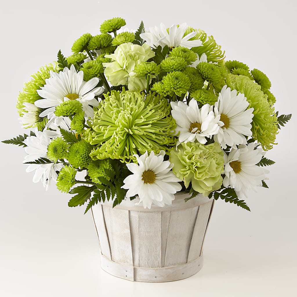 Lucky Charm Basket (Standard) – De Santis Florist Inc, Columbus OH