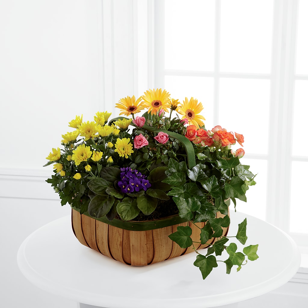 Gentle Blossoms Basket – De Santis Florist Inc, Columbus OH
