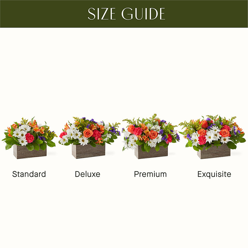 Oopsie Daisy Box Bouquet – De Santis Florist Inc, Columbus OH