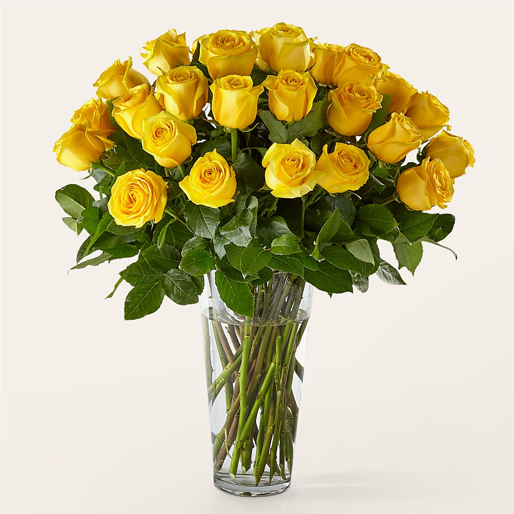 Long Stem Yellow Rose Bouquet – De Santis Florist Inc, Columbus OH