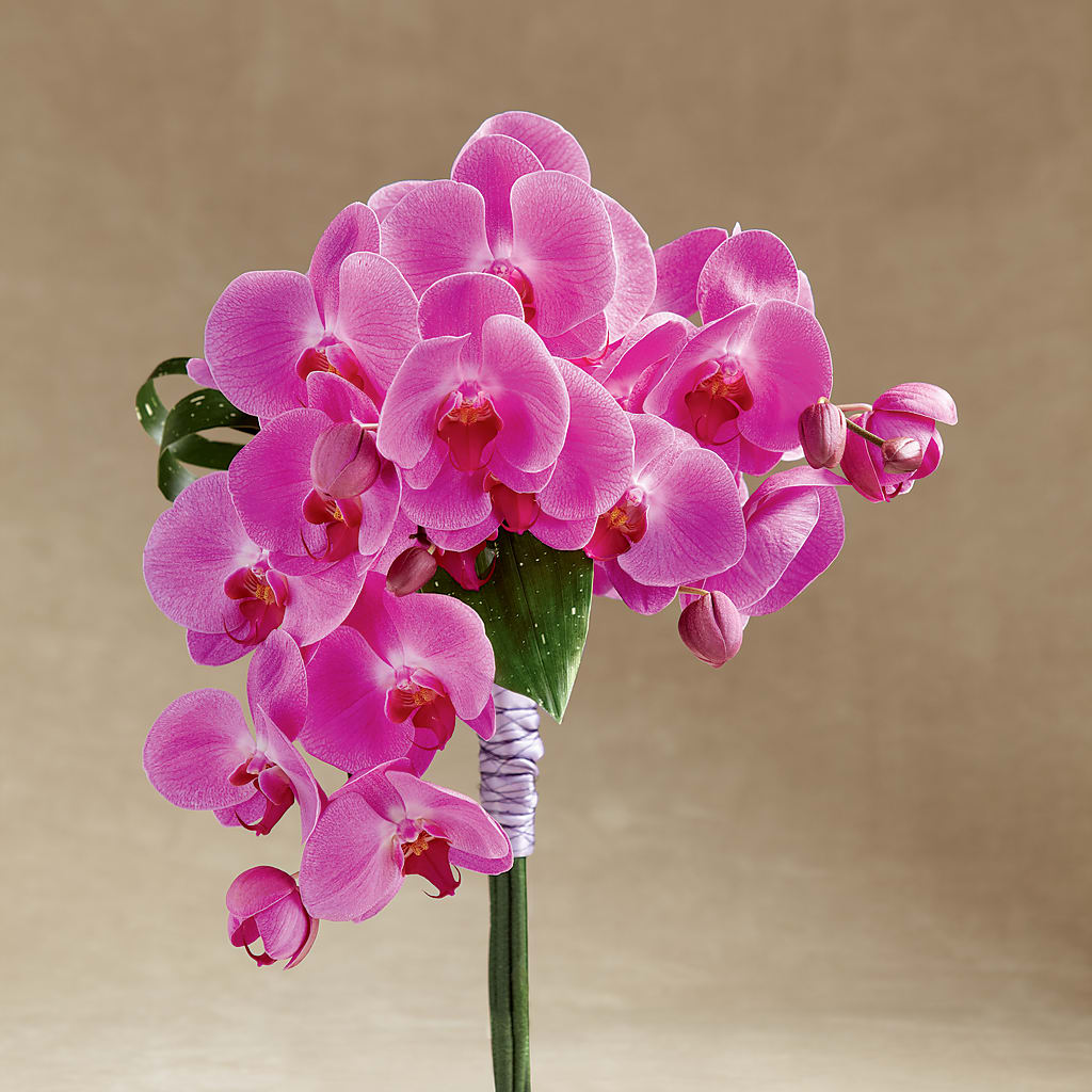 Glorious Bouquet – De Santis Florist Inc, Columbus OH