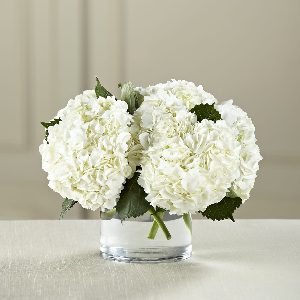 White Hydrangea Bouquet – De Santis Florist Inc, Columbus OH