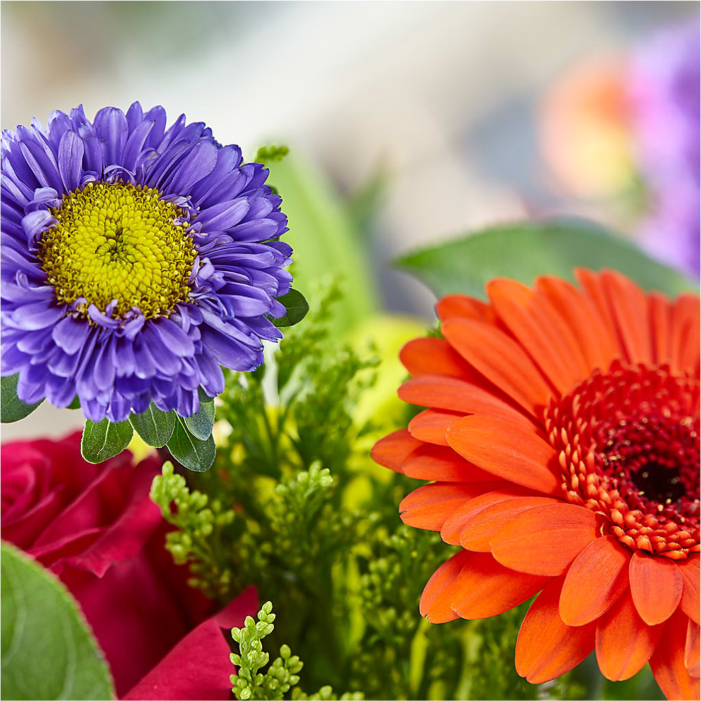 Bold & Bright – A Florist Original –  De Santis Florist Inc, Columbus OH