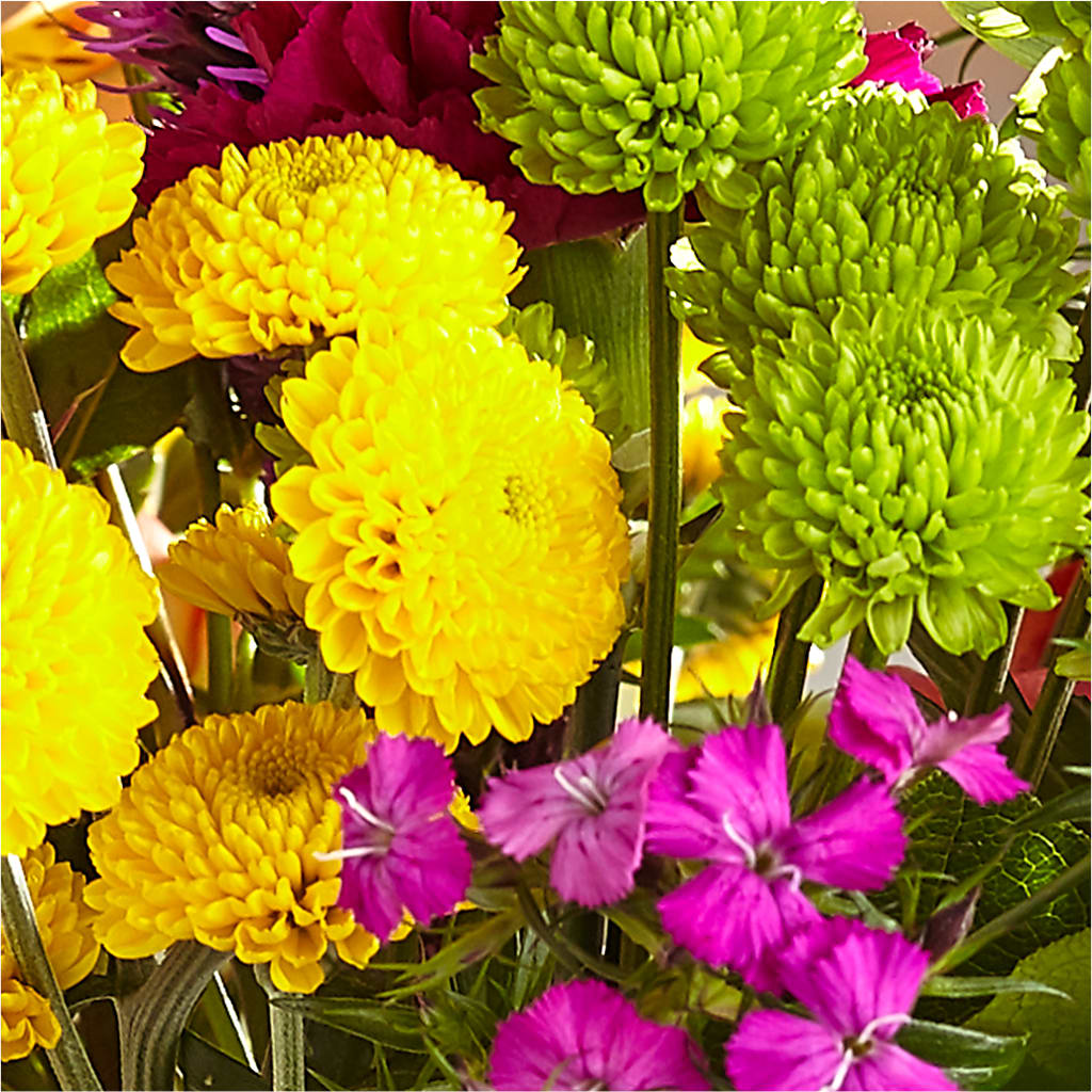 Bold & Bright – A Florist Original –  De Santis Florist Inc, Columbus OH