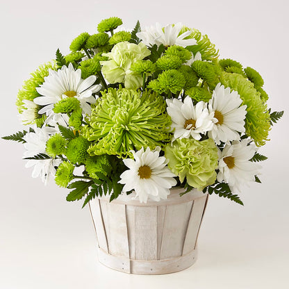 Lucky Charm Basket (Standard) –  De Santis Florist Inc, Columbus OH