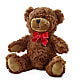 Adorable Plush Bear –  De Santis Florist Inc, Columbus OH