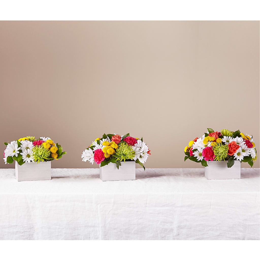 Sorbet Bouquet –  De Santis Florist Inc, Columbus OH