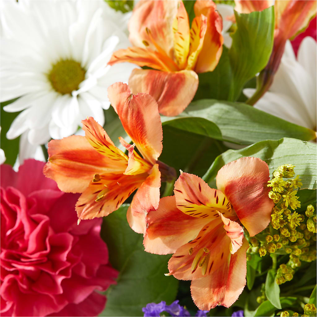 Oopsie Daisy Box Bouquet –  De Santis Florist Inc, Columbus OH