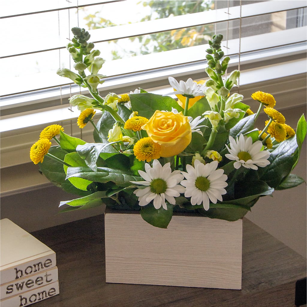 Sun Salutation Box Bouquet –  De Santis Florist Inc, Columbus OH