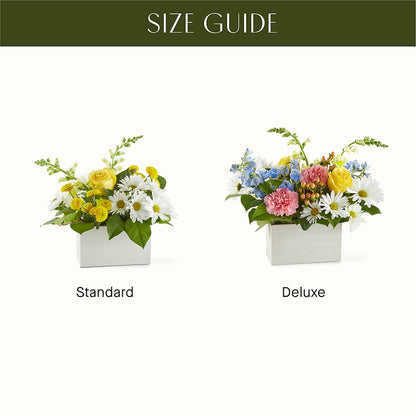 Sun Salutation Box Bouquet –  De Santis Florist Inc, Columbus OH