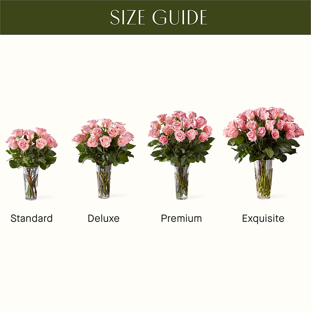 Long Stem Pink Rose Bouquet –  De Santis Florist Inc, Columbus OH