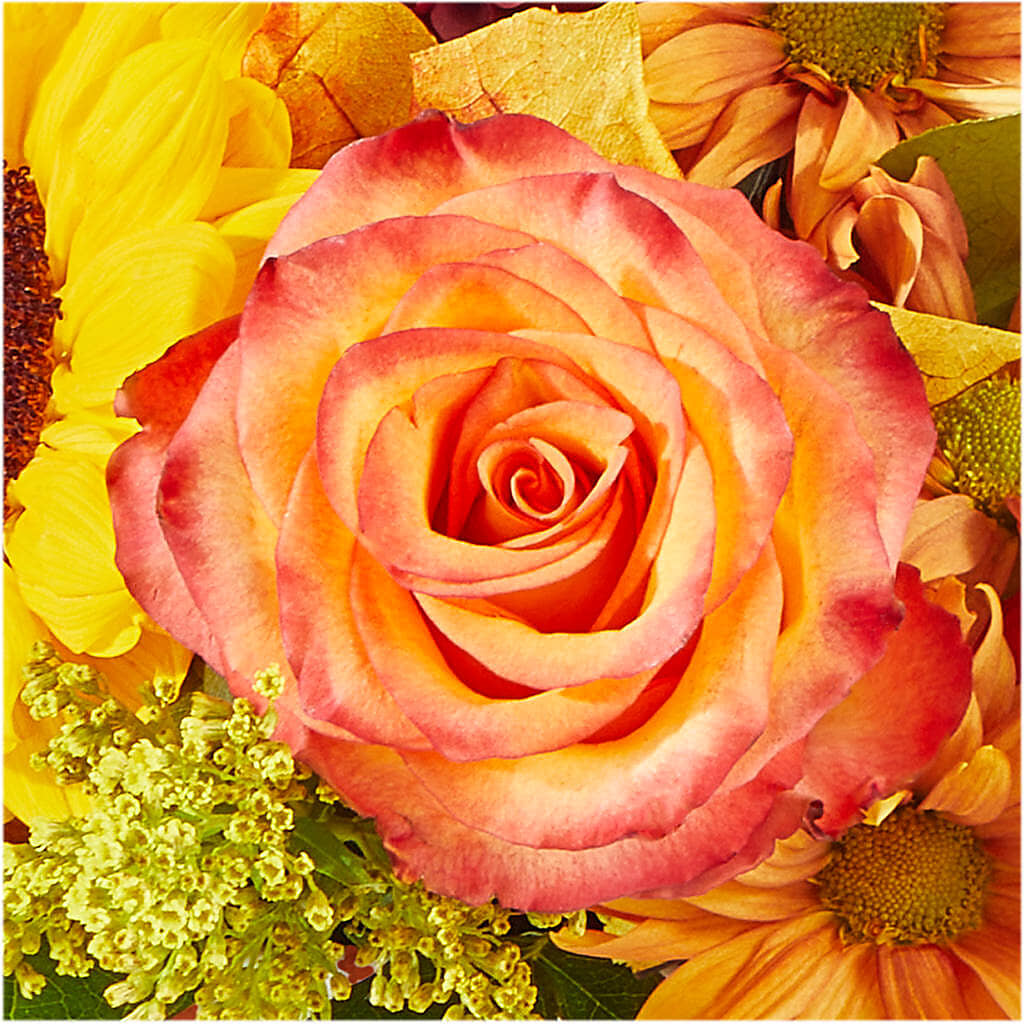 The Outdoors Bouquet –  De Santis Florist Inc, Columbus OH