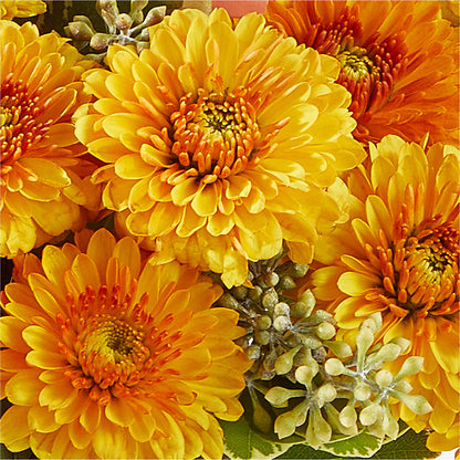 Peachy Pumpkin –  De Santis Florist Inc, Columbus OH