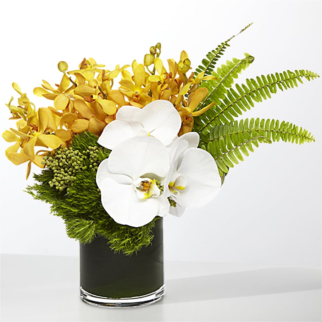 The Tropics –  De Santis Florist Inc, Columbus OH