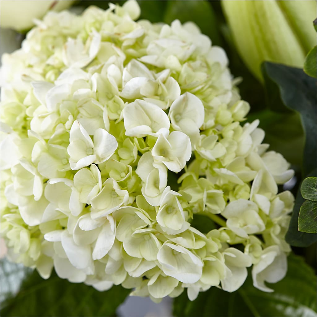 Classic Ivory – A Florist Original –  De Santis Florist Inc, Columbus OH