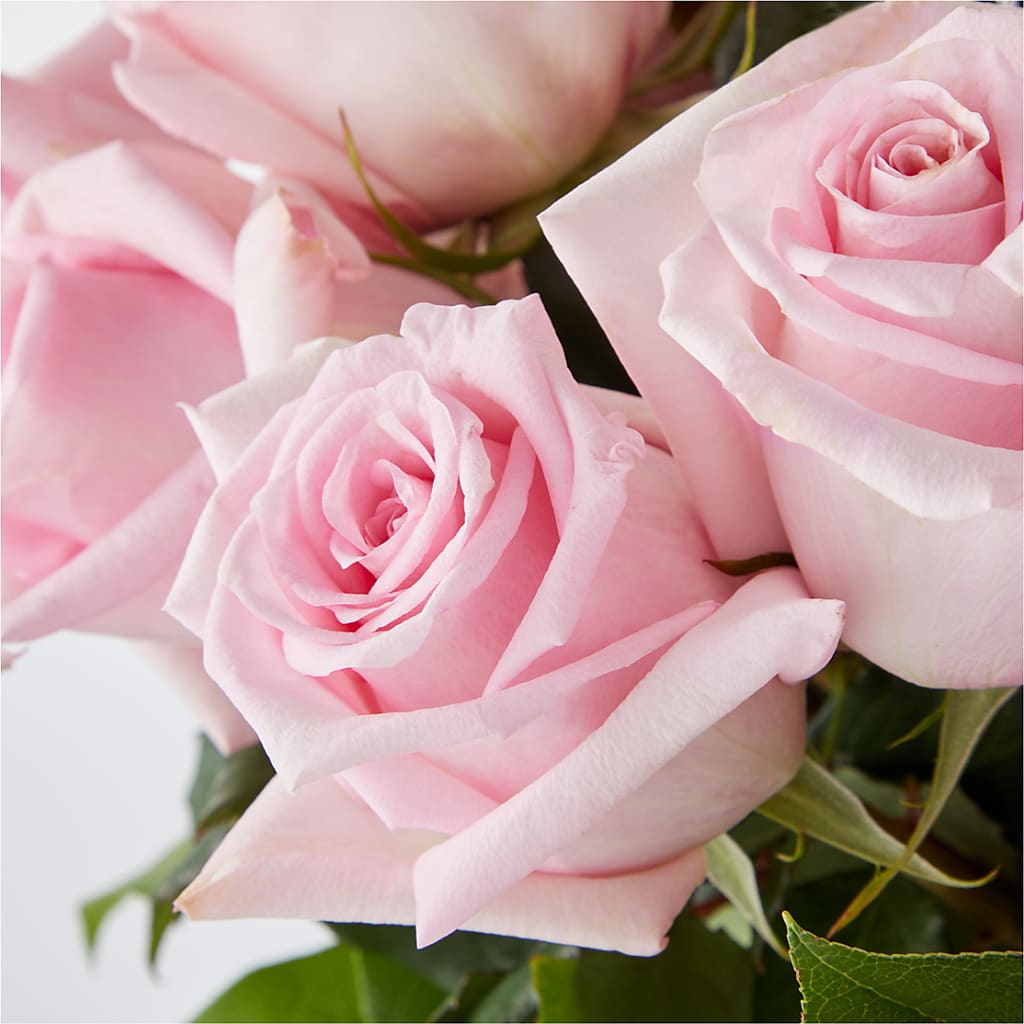 Picture Perfect Pink Rose Bouquet –  De Santis Florist Inc, Columbus OH