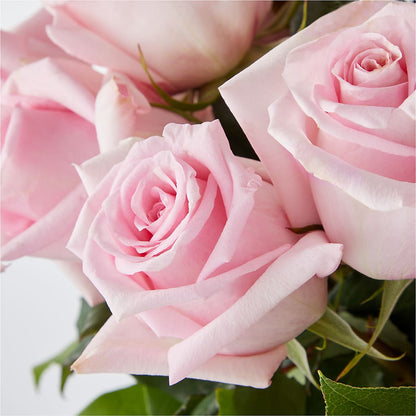 Picture Perfect Pink Rose Bouquet –  De Santis Florist Inc, Columbus OH