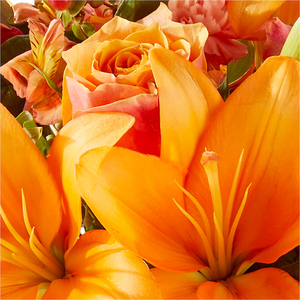 Afternoon Light Bouquet –  De Santis Florist Inc, Columbus OH