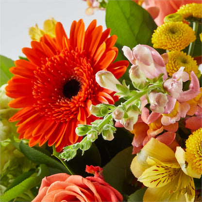 Autumn Sunshine Bouquet –  De Santis Florist Inc, Columbus OH