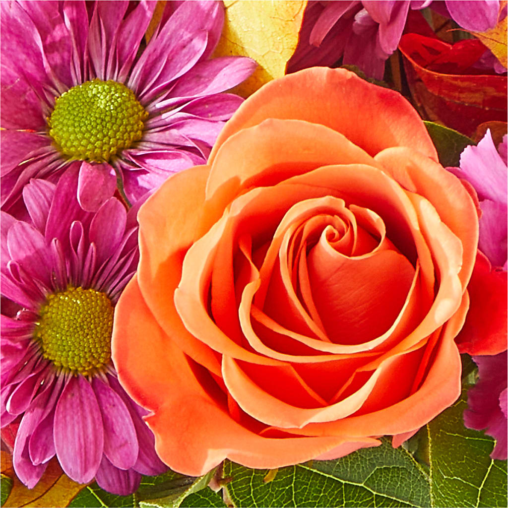 Mum's the Word Bouquet –  De Santis Florist Inc, Columbus OH