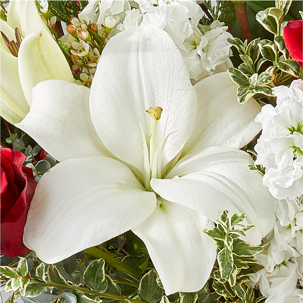 Twinkle Lights Bouquet –  De Santis Florist Inc, Columbus OH