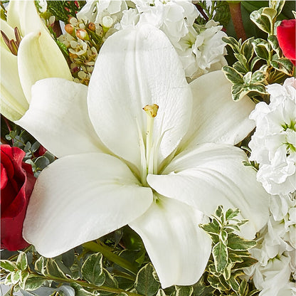 Twinkle Lights Bouquet –  De Santis Florist Inc, Columbus OH