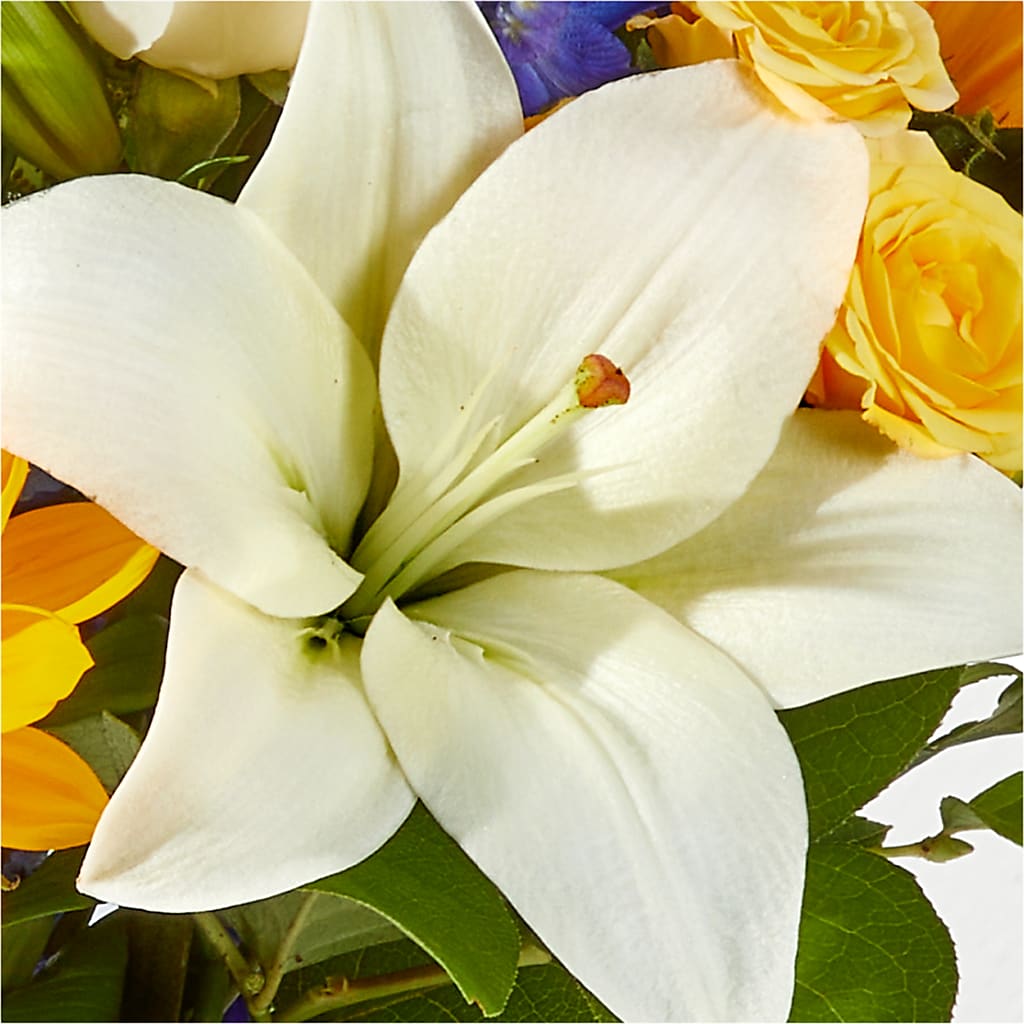 Wonderfully Sunny Bouquet –  De Santis Florist Inc, Columbus OH