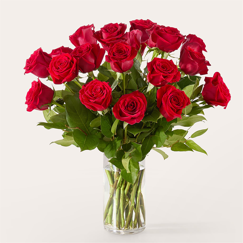 The One Red Rose Bouquet –  De Santis Florist Inc, Columbus OH