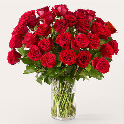 The One Red Rose Bouquet –  De Santis Florist Inc, Columbus OH
