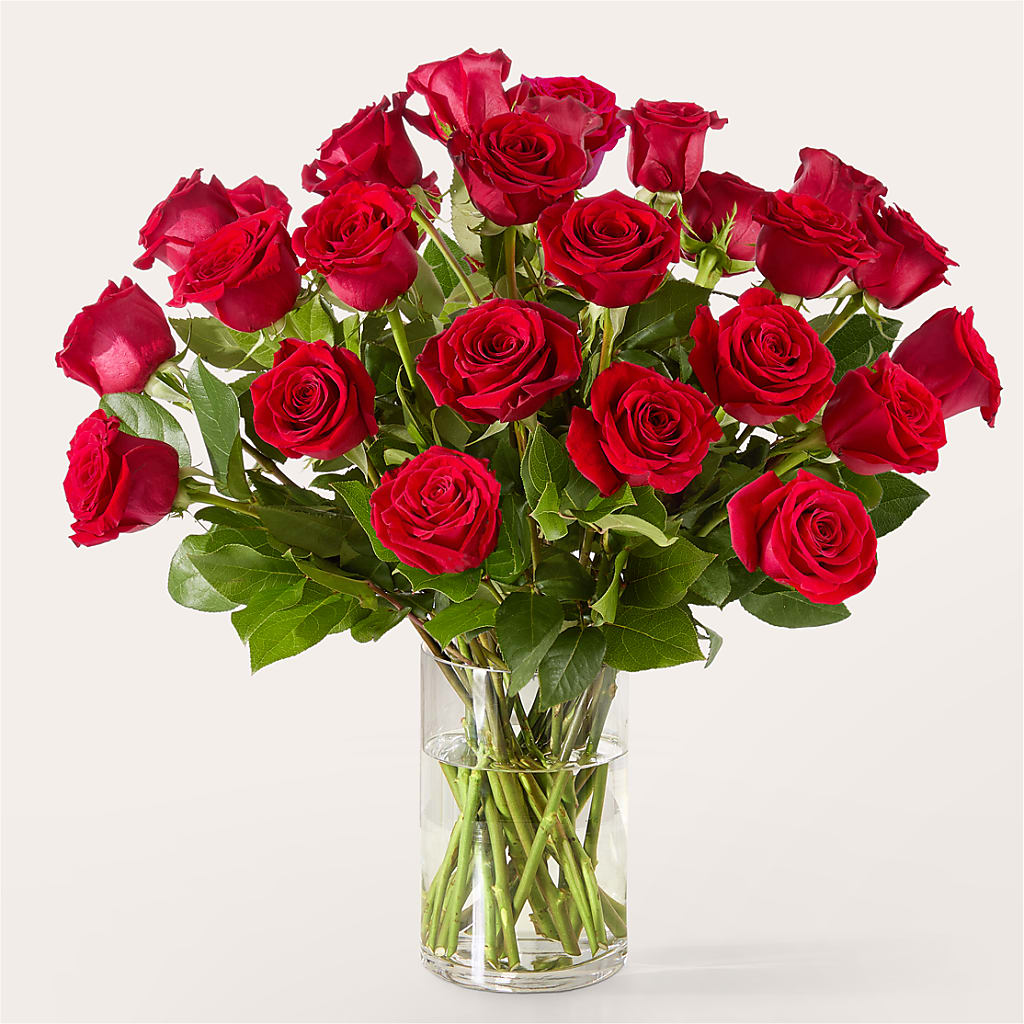 The One Red Rose Bouquet –  De Santis Florist Inc, Columbus OH