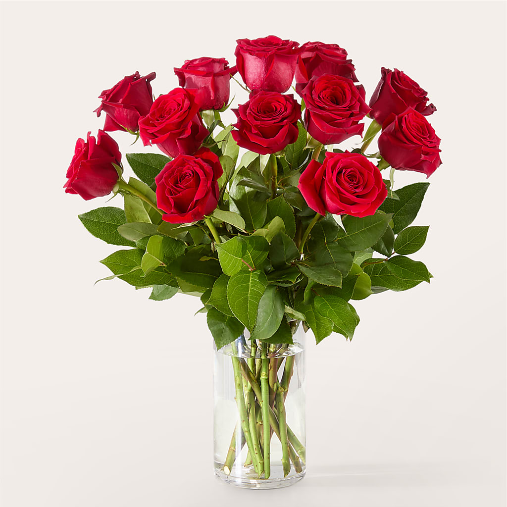 The One Red Rose Bouquet –  De Santis Florist Inc, Columbus OH