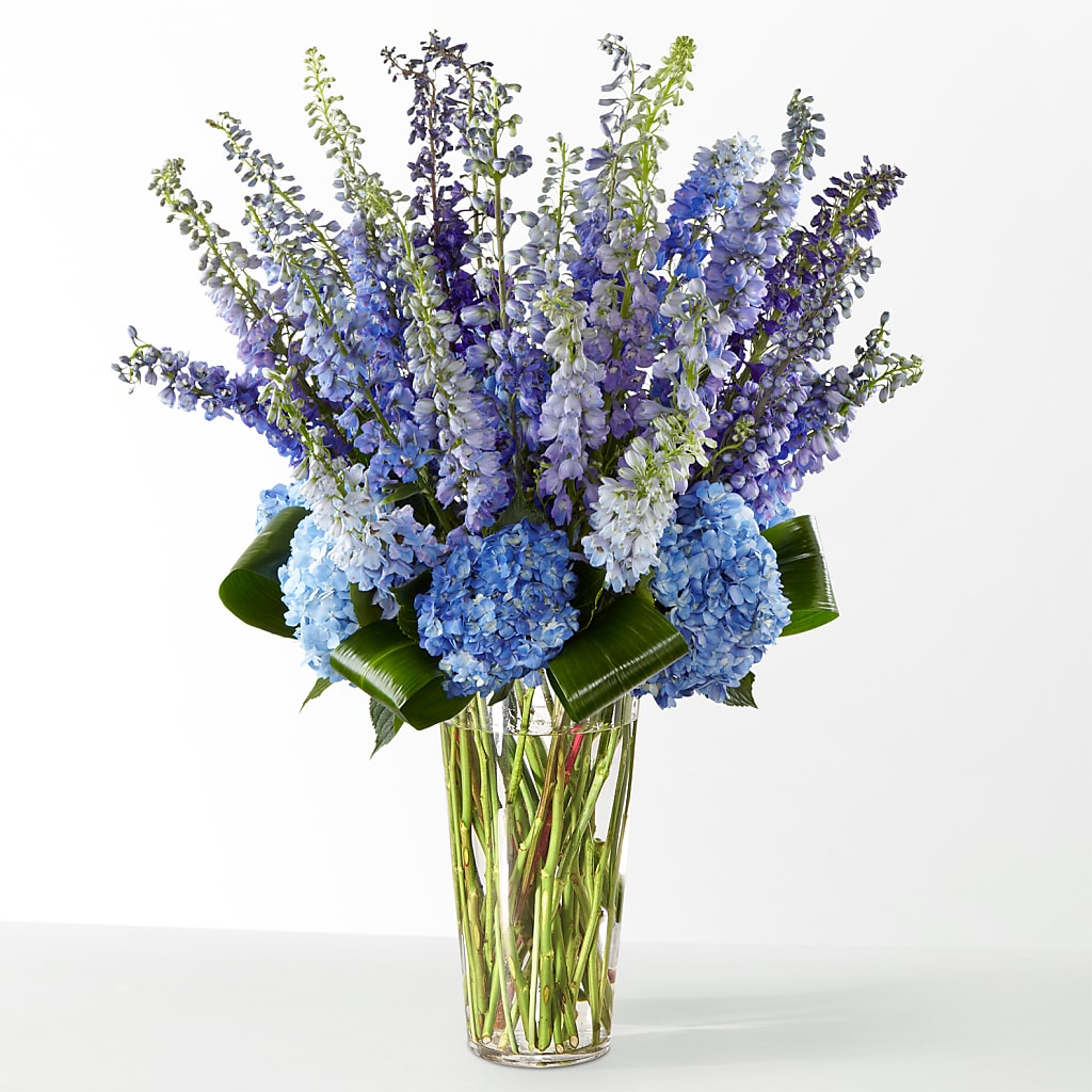 The Editorial –  De Santis Florist Inc, Columbus OH