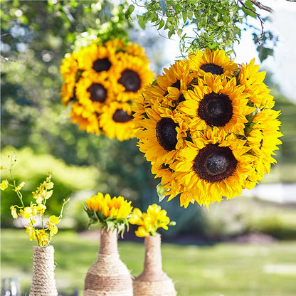 Sublime Garden Hanging Arrangement –  De Santis Florist Inc, Columbus OH