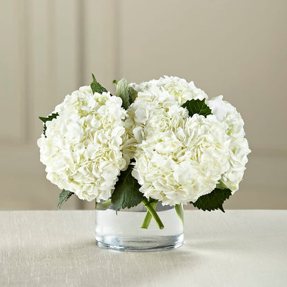 White Hydrangea Bouquet –  De Santis Florist Inc, Columbus OH